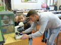 tudenti pracuj s mikroskopom na hodine biolgie
