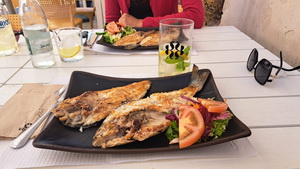 U�ite�sk� mobilita v Seville v r�mci projektu Erasmus+