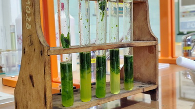 Ch�mia v�ade okolo n�s a&nbsp;�o na to v�ely?